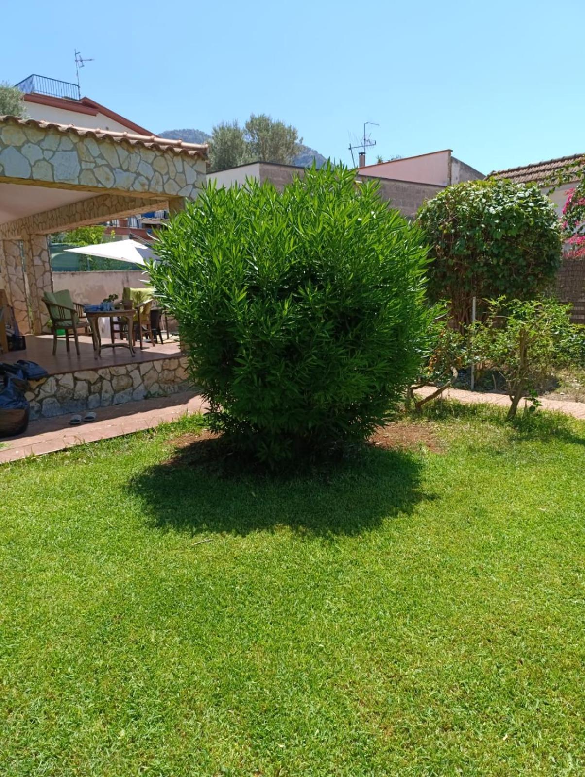 הוילה פלרמו Casa In Giardino A Pochi Passi Dal Mare מראה חיצוני תמונה
